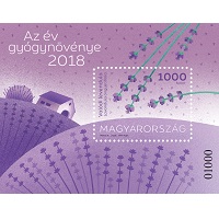 A képen a az év gyógynövénye 2018: valódi levendula blokk látható